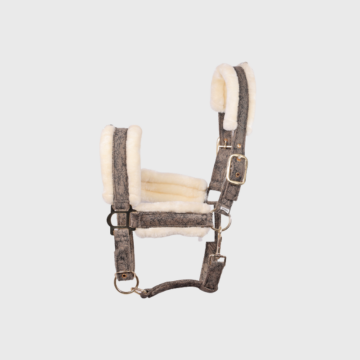 7.1-removebg-preview-fe