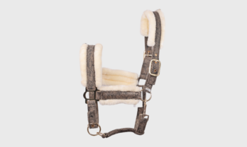 7.1-removebg-preview-gal