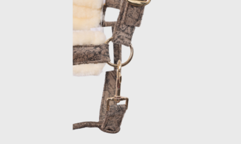 7.2-removebg-preview-gal