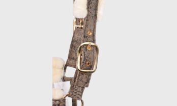 7.4-removebg-preview-gal