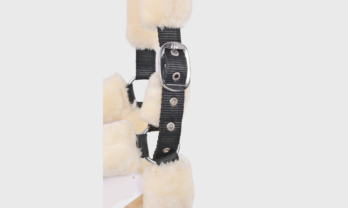 8.2-removebg-preview-gal