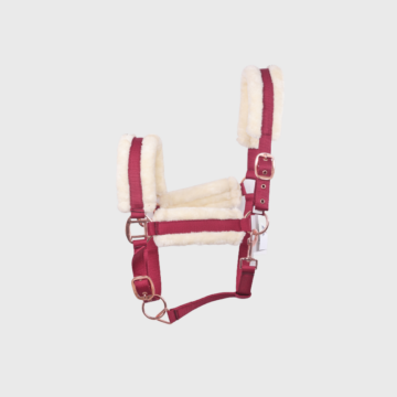 9.1-removebg-preview-fe