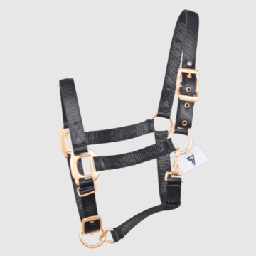 features-image-high-density