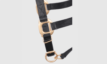 product-gal2-high-den