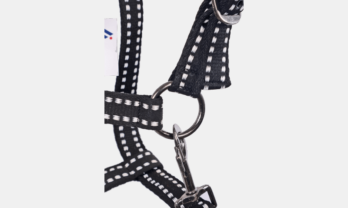 product-gal2-soft-adjustable-halter