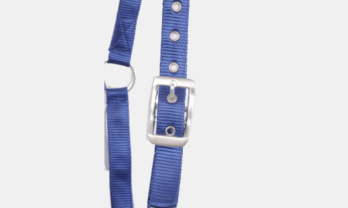 product-gal3-hzinc-china-model